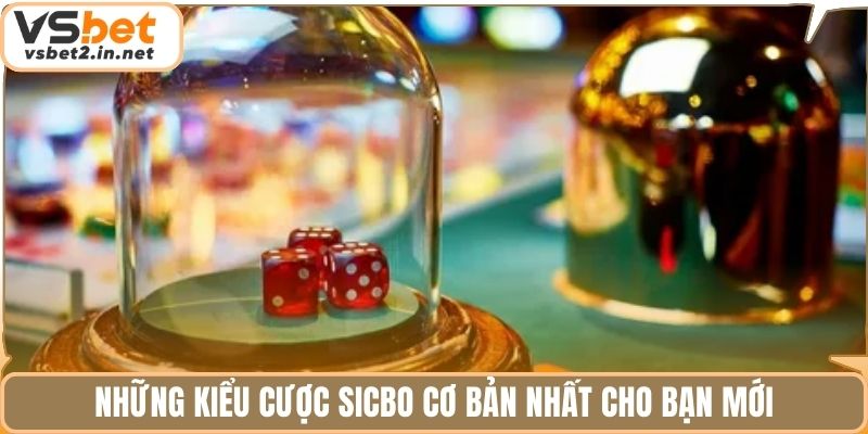 Những kiểu cược sicbo cơ bản nhất cho bạn mới